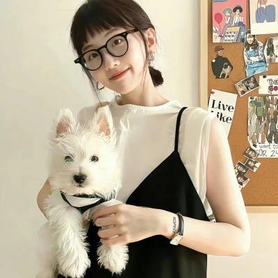 房子的故事高清封面