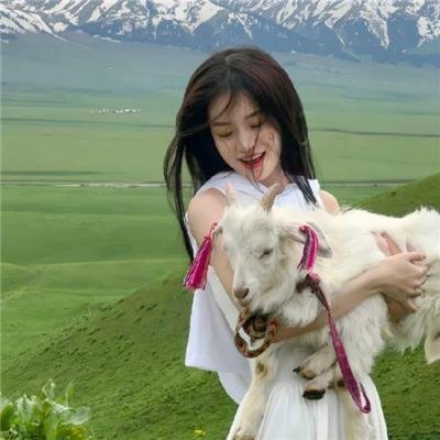 血仍未冷高清封面